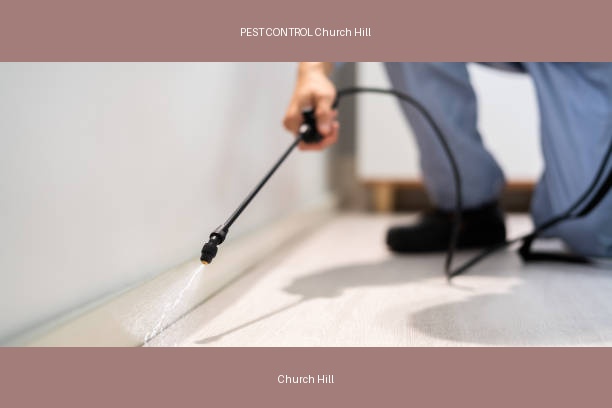 PEST CONTROL Church Hill